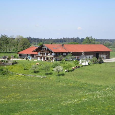 Appartamento Biohof Babel Sachsenkam Esterno foto