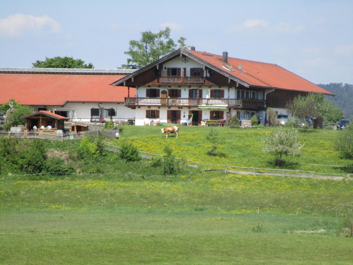 Appartamento Biohof Babel Sachsenkam Esterno foto