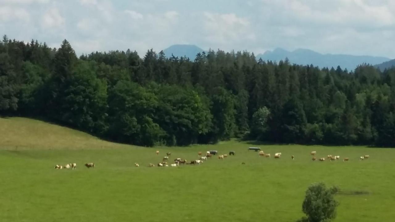 Appartamento Biohof Babel Sachsenkam Esterno foto